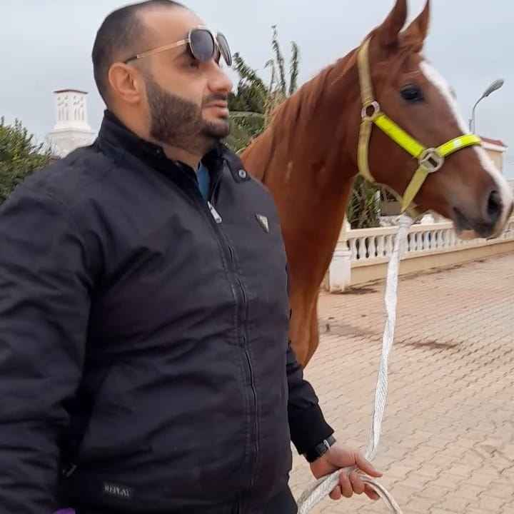 ماجد قطيش